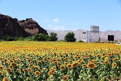 Steam冬促新史低游戏推荐 TGA年度游戏《双人成行》2折优惠